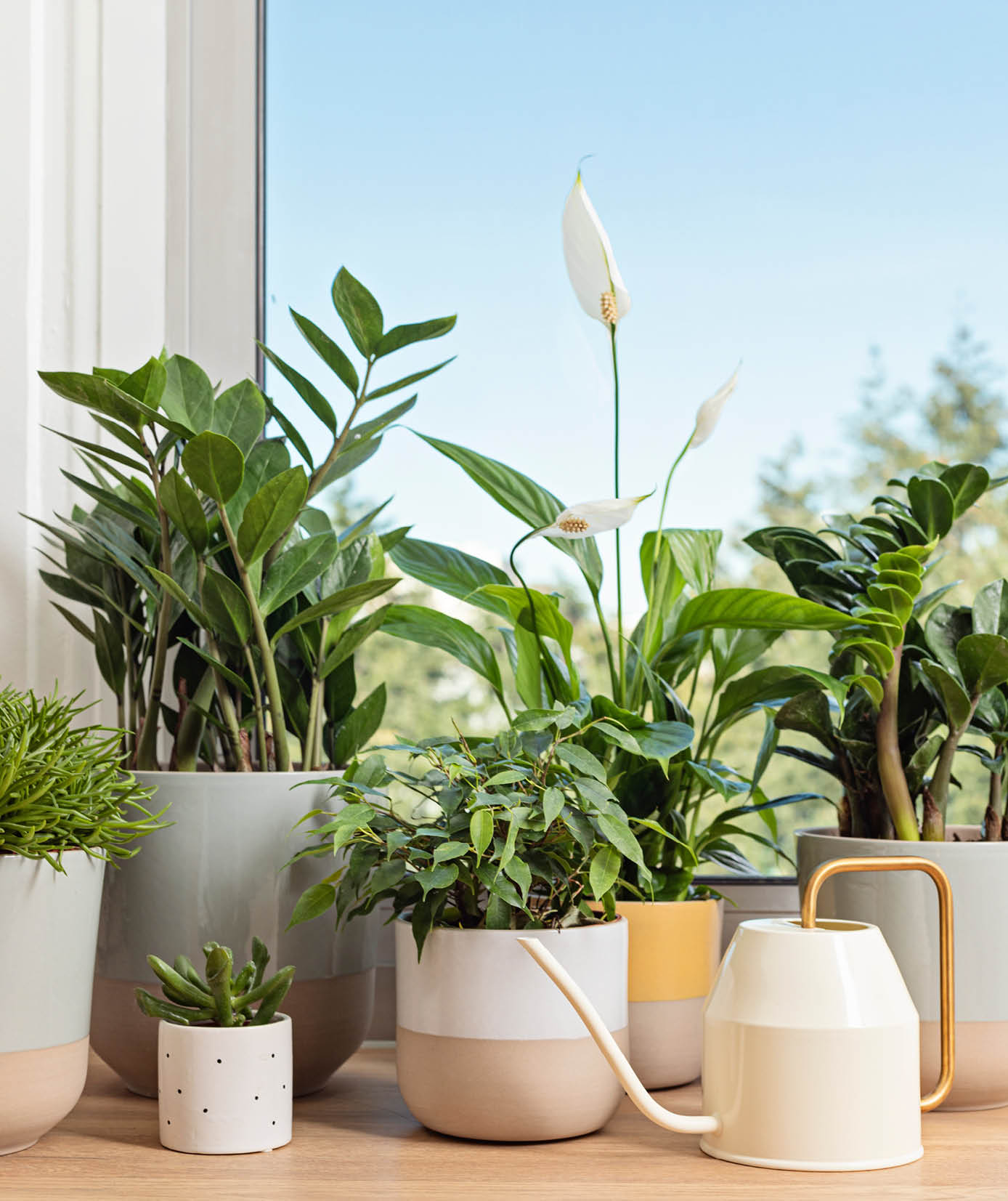 A table with several potted plants and a vase. AI generated content