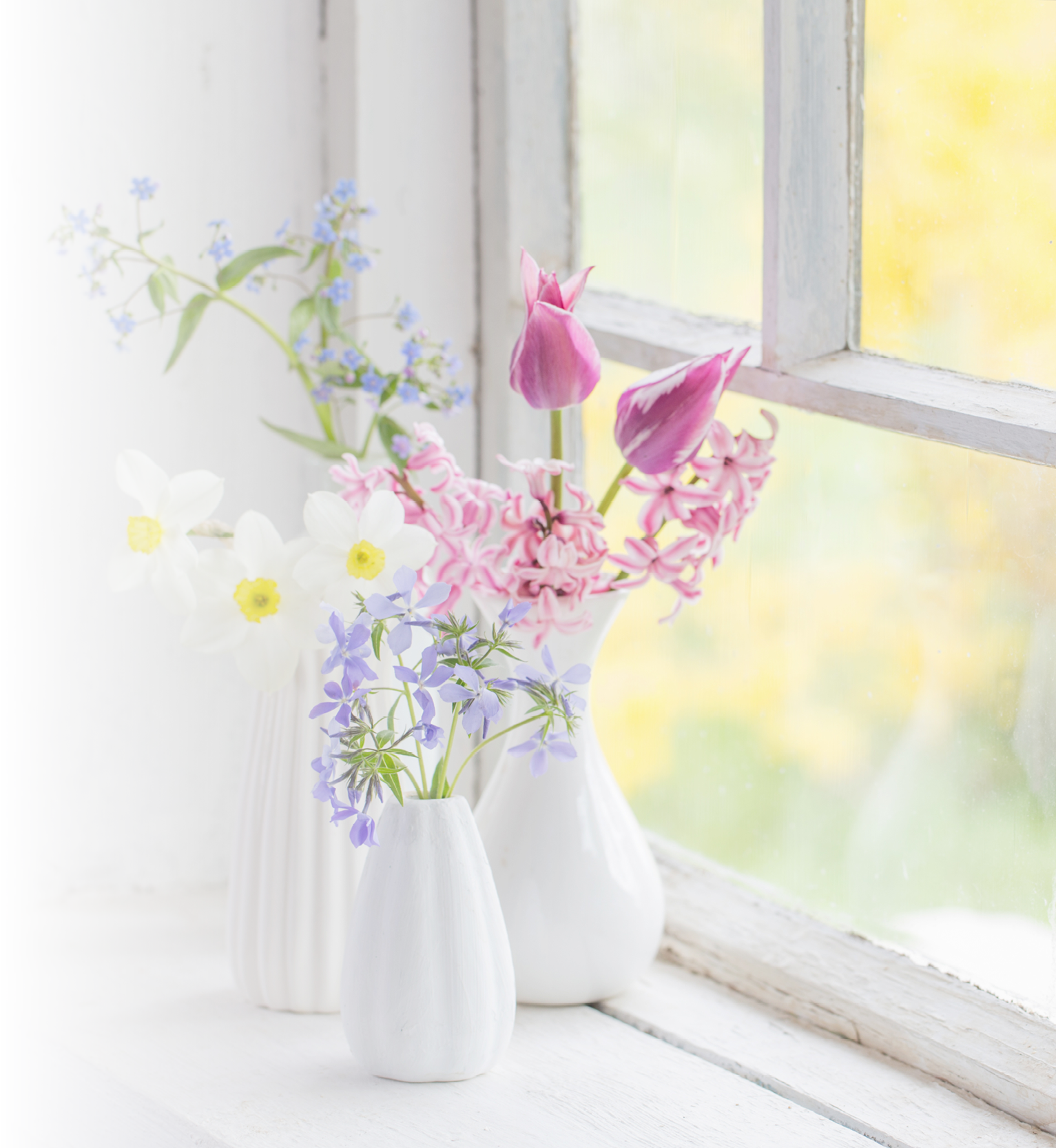 A vase of flowers sits on a windowsill. Description generated by AI