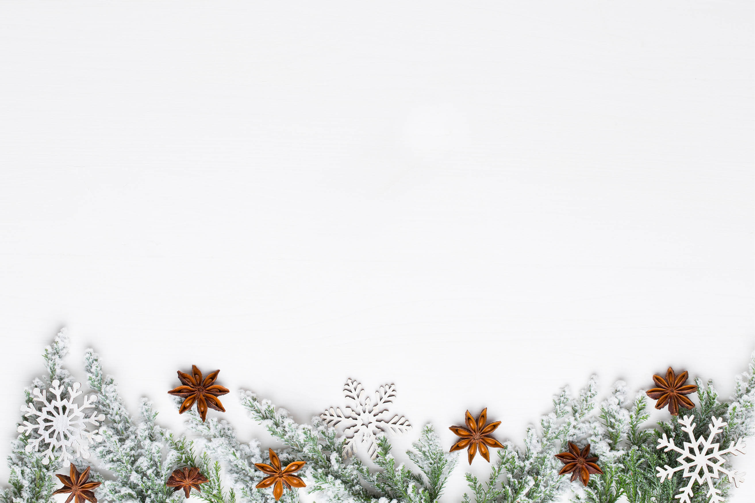 Christmas white Fir tree branches with stars decorations.