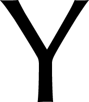 Polygon