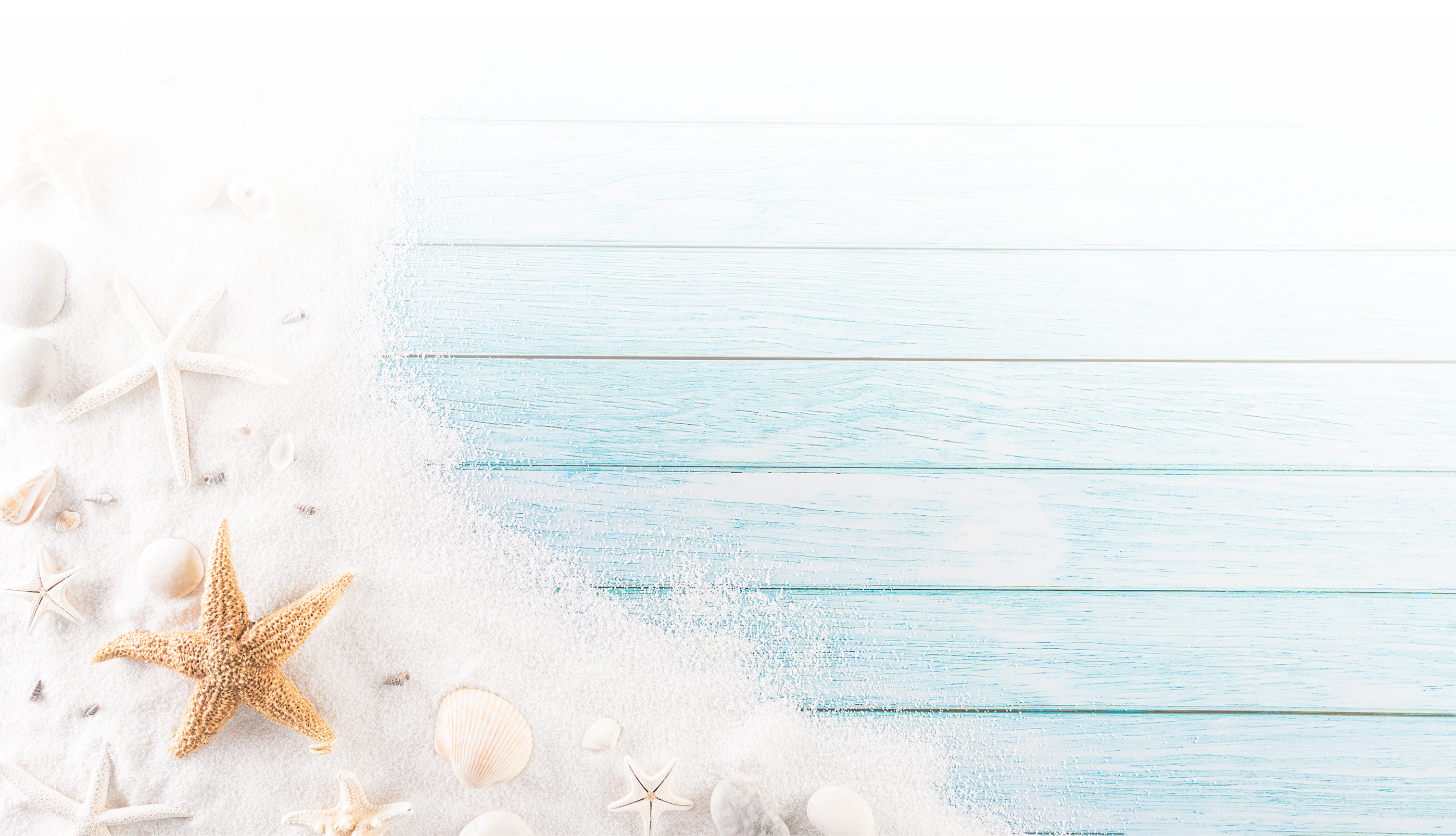 A blue and white board with starfish and shells on it. Description generated by AI