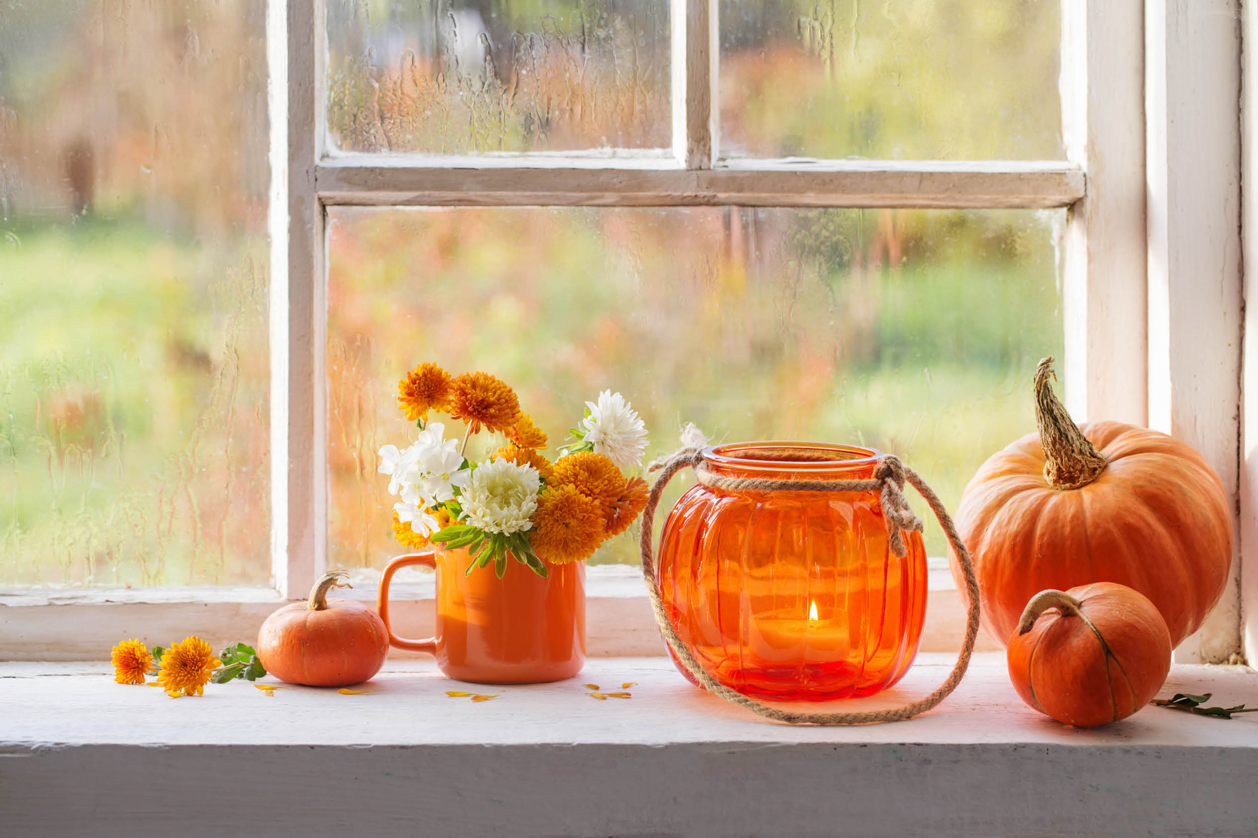 autumn flowers and pumpkins on old white windowsill